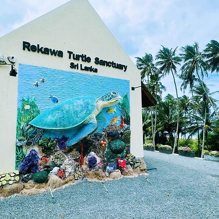 Shine Wave Turtle Beach Tangalle Eksteriør billede