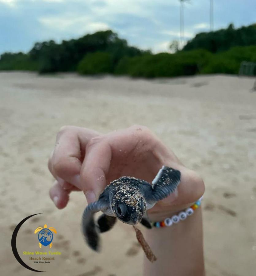 Shine Wave Turtle Beach Tangalle Eksteriør billede