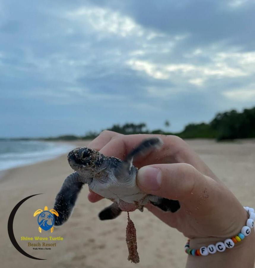 Shine Wave Turtle Beach Tangalle Eksteriør billede