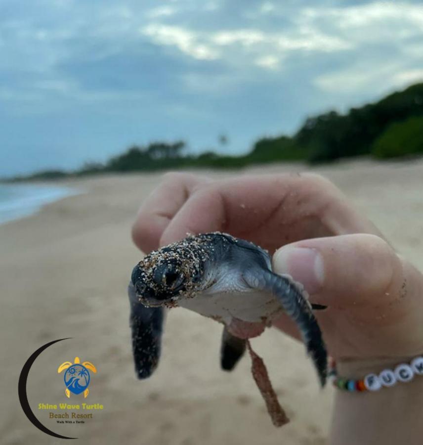 Shine Wave Turtle Beach Tangalle Eksteriør billede