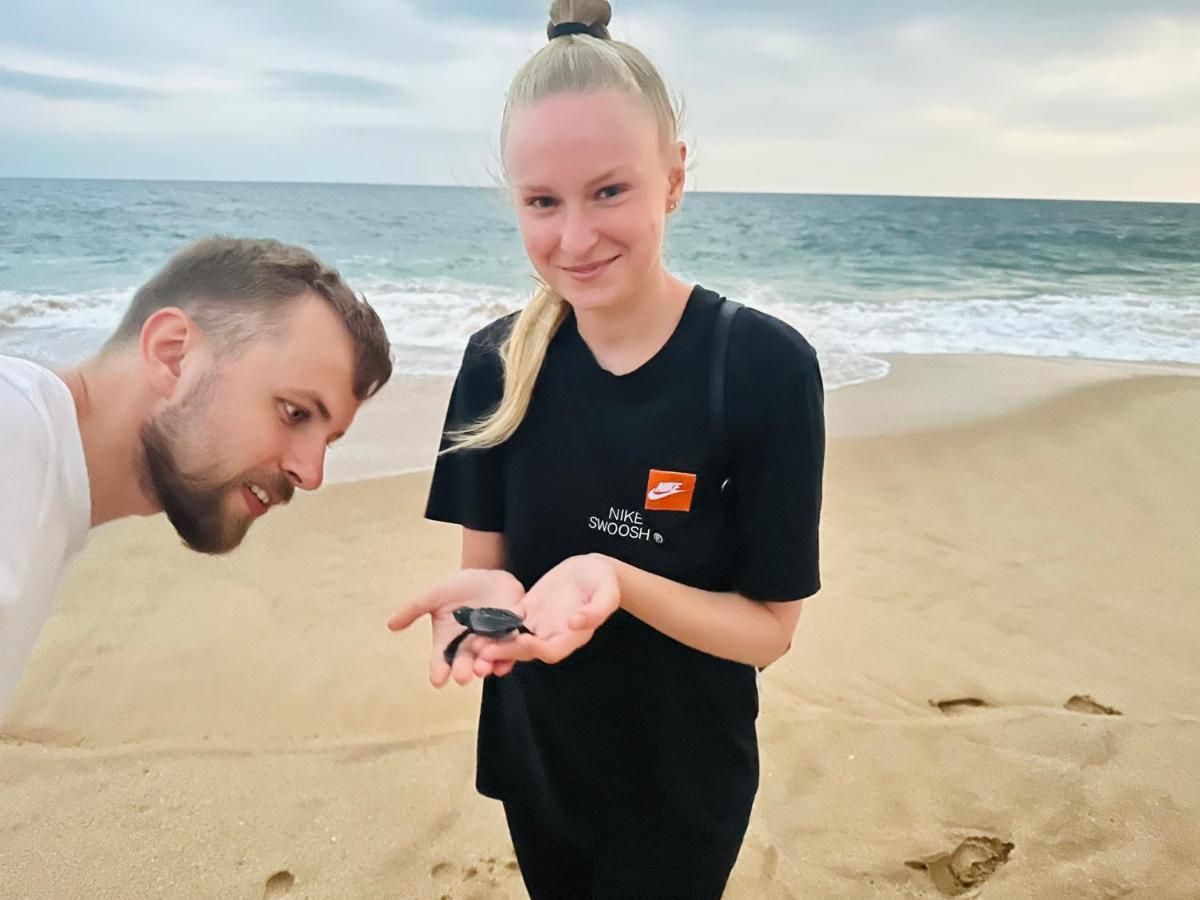 Shine Wave Turtle Beach Tangalle Eksteriør billede